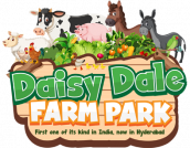 daisy-logo